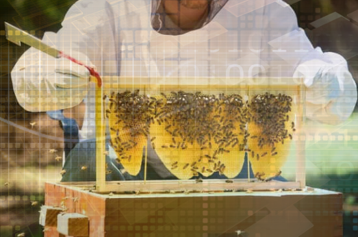 apiculteur moderne